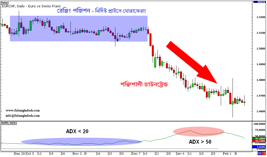 ADX Indicator Indicates a Strong Downtrend